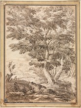 Landscape with Clump of Trees, 17th century. Italy, Bologna, 17th century. Pen and brown ink, with