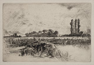 A Water Meadow, 1859. Francis Seymour Haden (British, 1818-1910). Etching