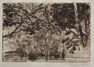 The Mouth of a Brook (Second Plate). Francis Seymour Haden (British, 1818-1910). Drypoint