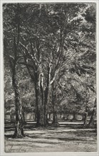 Kensington Gardens (The Large Plate), 1860. Francis Seymour Haden (British, 1818-1910). Etching and