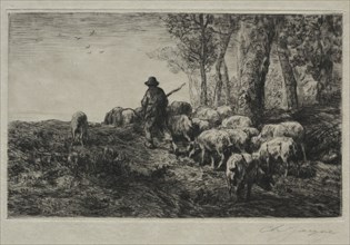 A herd of swine, 1880. Charles-Émile Jacque (French, 1813-1894). Drypoint