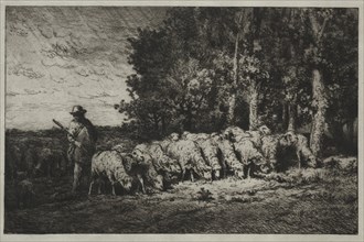 A Herd at the Edge of a Forest, 1880. Charles-Émile Jacque (French, 1813-1894). Etching and