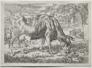 Cow and Two Sheep at the Foot of a Tree, 1670. Adriaen van de Velde (Dutch, 1636-1672). Etching