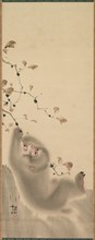 Monkey Hanging on to a Branch, 1780. Mori Sosen (Japanese, 1747-1821). Hanging scroll; color on