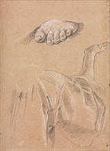 Verona Sketchbook: Study of a left foot and drapery study with right arm (page 79), 1760. Francesco