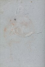 Verona Sketchbook: Head (page 30), 1760. Francesco Lorenzi (Italian, 1723-1787). Black chalk with