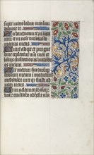 Book of Hours (Use of Rouen): fol. 40r, c. 1470. Master of the Geneva Latini (French, active Rouen,