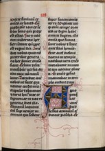 Gospel Book with Evangelist Portraits: Decorated Initial, c. 1480. Hausbuch Master (German). Ink,