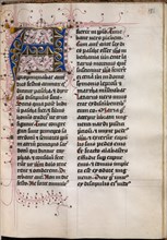 Gospel Book with Evangelist Portraits: Decorated Initial, c. 1480. Hausbuch Master (German). Ink,