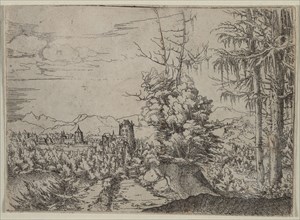 Landscape with Two Pines, 1522-1525. Albrecht Altdorfer (German, c. 1480-1538). Etching