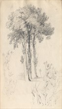 Sketchbook: Tree Study, 1814. Samuel Prout (British, 1783-1852). Graphite ; each page: 13.5 x 23.4