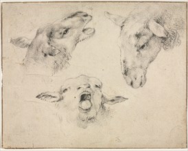 Sheep Heads, second or third quarter 1800s. Wouter Verschuur (Dutch, 1812-1874). Black chalk and