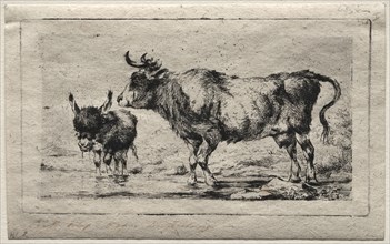 Cow and Ass, 1849. Charles Meryon (French, 1821-1868). Etching