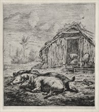 Three Swine Lying in Front of a Sty, 1850. Charles Meryon (French, 1821-1868). Etching