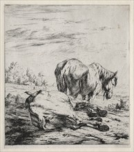 The Two Horses, 1850. Charles Meryon (French, 1821-1868). Etching