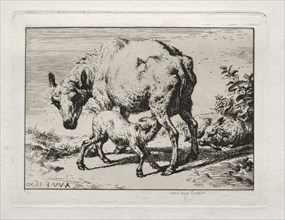 The Ewe with Two Lambs, 1850. Charles Meryon (French, 1821-1868). Etching