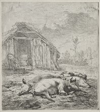 Three Swine Lying in Front of a Sty. Karel Dujardin (Dutch, c. 1622-1678). Etching