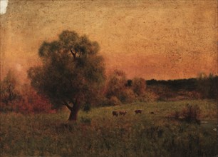 Cows in a Field. Imitator of George Inness (American, 1825-1894). Oil on canvas; unframed: 45.3 x