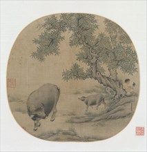 Man, Buffalo, and Calf, 1205 or 1265. Li You (Chinese, 1200s). Album leaf; ink and color on silk;