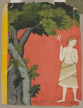 Shiva Under Trees, c. 1780. India, Pahari, Kangra school, 18th century. Color on paper; overall: 18