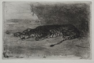 Tigre couché à l'entrée de son antre. Eugène Delacroix (French, 1798-1863). Etching