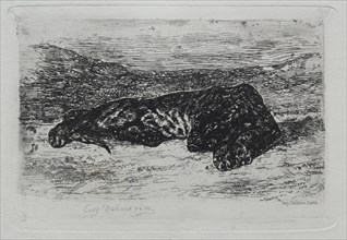 Tigre couché dans le desert. Eugène Delacroix (French, 1798-1863). Etching
