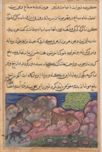 Page from Tales of a Parrot (Tuti-nama): Fifteenth night: The wolf advises the lion to consult the