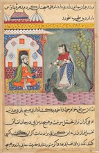 Page from Tales of a Parrot (Tuti-nama): Nineteenth night: The Brahman’s wife who killed a peacock
