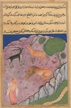 Page from Tales of a Parrot (Tuti-nama): Twenty-first night: The Brahman comes upon a lion who has