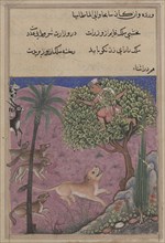 Page from Tales of a Parrot (Tuti-nama): Twenty-first night: The wolf and the jackal, serving as