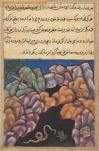 Page from Tales of a Parrot (Tuti-nama): Twenty-sixth night: The snake enters into an argument with