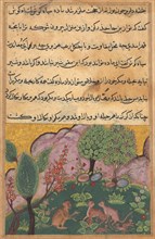 Tuti-Nama (Tales of a Parrot): Tale XXIX, c. 1560. India, Mughal, Reign of Akbar, 16th century.