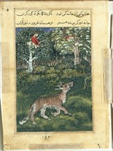 Page from Tales of a Parrot (Tuti-nama): Thirty-first night: The donkey, in a tiger’s skin, reveals