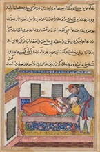 Page from Tales of a Parrot (Tuti-nama): Fortieth night: Shahr-Arai’s husband bends to kiss his