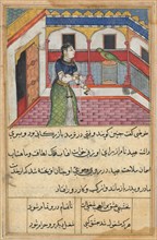 Page from Tales of a Parrot (Tuti-nama): Forty-second night: The parrot addresses Khujasta at the