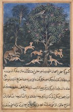 Page from Tales of a Parrot (Tuti-nama): Fifth night: The parrot mother cautions her young on the