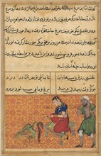 Page from Tales of a Parrot (Tuti-nama): Fifty-second night: The bird of seven colors brings a
