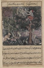 Page from Tales of a Parrot (Tuti-nama): Fifth night: The hunter throws away the baby parrots, who