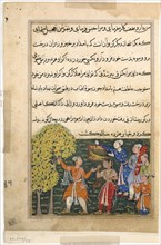Page from Tales of a Parrot (Tuti-nama): Ninth night: The king plucks fruit from the Tree of Life