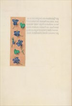 Hours of Queen Isabella the Catholic, Queen of Spain:  Fol. 16v, Short Border with Strewn Violets,