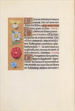 Hours of Queen Isabella the Catholic, Queen of Spain:  Fol. 21v, c. 1495-1500. And associates