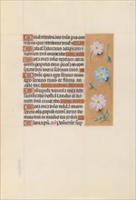 Hours of Queen Isabella the Catholic, Queen of Spain:  Fol. 67r, c. 1500. And associates Master of