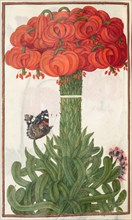 Florilegium: (page 18 verso) boquet of orange lilies, 1608. France, 17th century. Bound manuscript