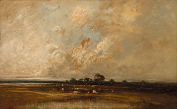 Marshland, 1860s-1870s. Jules Dupré (French, 1811-1889). Oil on fabric; framed: 60.4 x 88.9 x 7.7