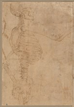 Half-Length Skeleton in Profile, early 1540s. Battista Franco (Italian, 1498?-1561). Pen and brown