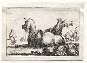 Caprices:  Two Goats. Stefano Della Bella (Italian, 1610-1664). Etching