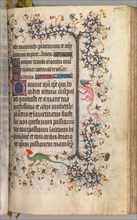 Hours of Charles the Noble, King of Navarre (1361-1425): fol. 2041r, Text, c. 1405. Master of the