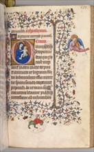 Hours of Charles the Noble, King of Navarre (1361-1425): fol. 261r, Virgin and Child, c. 1405.