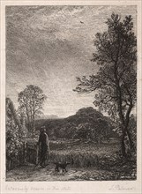 The Skylark, 1850. Samuel Palmer (British, 1805-1881). Etching