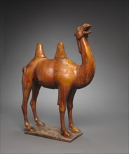 Camel, 8th Century. China, Tang dynasty (618-907). Glazed earthenware; overall: 79.4 cm (31 1/4 in